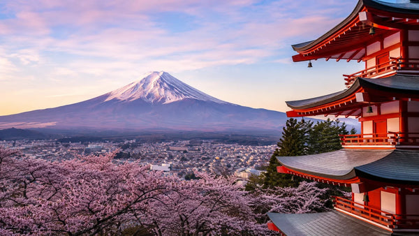 Da Vinci Tattoo scenic view of Mount Fuji landscape with pink cherry blossoms in the foreground and a red with Chureito Pagoda on the right, under a pastel sky.